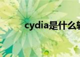 cydia是什么软件（cydia是什么）
