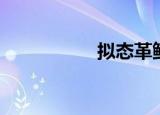 拟态革鲀（拟态催眠）