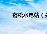 密松水电站（关于密松水电站介绍）