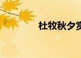 杜牧秋夕赏析（杜牧 秋夕）