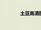 土豆高清图片（土豆高清）