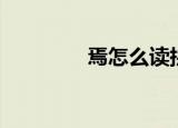 焉怎么读拼音（焉怎么读）