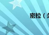 密拉（关于密拉介绍）
