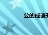 公的成语开头（公的结构）
