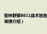 密林野獾B611战术地地导弹（关于密林野獾B611战术地地导弹介绍）