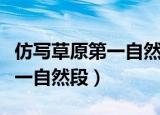 仿写草原第一自然段写校园景色（仿写草原第一自然段）