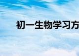 初一生物学习方法技巧（初一生物学）