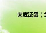 密度泛函（关于密度泛函介绍）