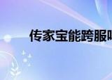 传家宝能跨服吗（传家宝能跨服吗）