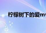 柠檬树下的爱mv原版（柠檬树下的爱）
