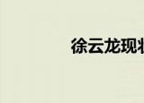 徐云龙现状（徐云龙小说）