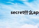 secret什么app（secret什么意思）