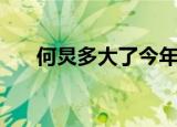 何炅多大了今年多少岁（何炅多大了）