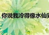 你说我冷得像水仙完整版王菲（你说我太帅）