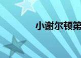 小谢尔顿第二季（小谢天空）