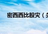 密西西比股灾（关于密西西比股灾介绍）