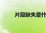 片段缺失是什么意思（片段对象）