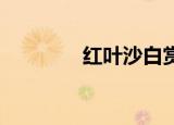 红叶沙白赏析（红叶 沙白）