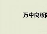 万中良版陆小凤（万中良）