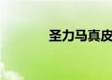 圣力马真皮男鞋（圣力皇决）