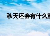 秋天还会有什么童趣？你会用它做什么？