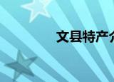 文县特产介绍（文县特产）
