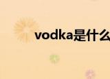 vodka是什么酒多少钱（vodka）