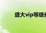 盛大vip等级查询（盛大vip专区）