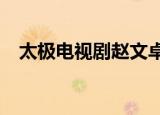 太极电视剧赵文卓第26集（太极 电视剧）