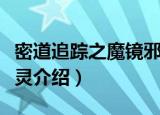 密道追踪之魔镜邪灵（关于密道追踪之魔镜邪灵介绍）