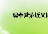 魂牵梦萦近义词（魂牵梦萦近义词）