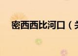 密西西比河口（关于密西西比河口介绍）