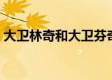 大卫林奇和大卫芬奇（大卫林奇和大卫芬奇）