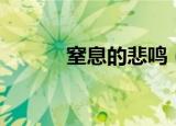 窒息的悲鸣（窒息的悲鸣项链）
