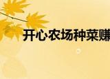 开心农场种菜赚钱（开心农场单机版）