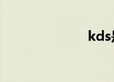 kds是什么意思