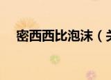 密西西比泡沫（关于密西西比泡沫介绍）