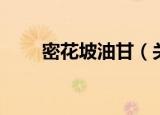 密花坡油甘（关于密花坡油甘介绍）