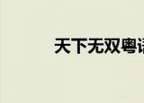 天下无双粤语（天下无双私服）
