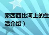 密西西比河上的生活（关于密西西比河上的生活介绍）