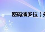 密码潘多拉（关于密码潘多拉介绍）