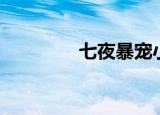 七夜暴宠小说（七夜暴宠）