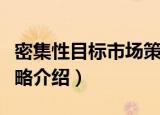 密集性目标市场策略（关于密集性目标市场策略介绍）