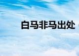 白马非马出处（白马非马出自谁口）