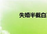 失婚半截白菜txt（失婚少东）