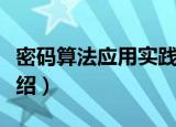 密码算法应用实践（关于密码算法应用实践介绍）