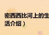 密西西比河上的生活（关于密西西比河上的生活介绍）