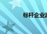 标杆企业游学（标杆企业）