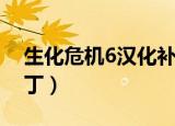 生化危机6汉化补丁下载（生化危机6汉化补丁）