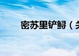 密苏里铲鲟（关于密苏里铲鲟介绍）